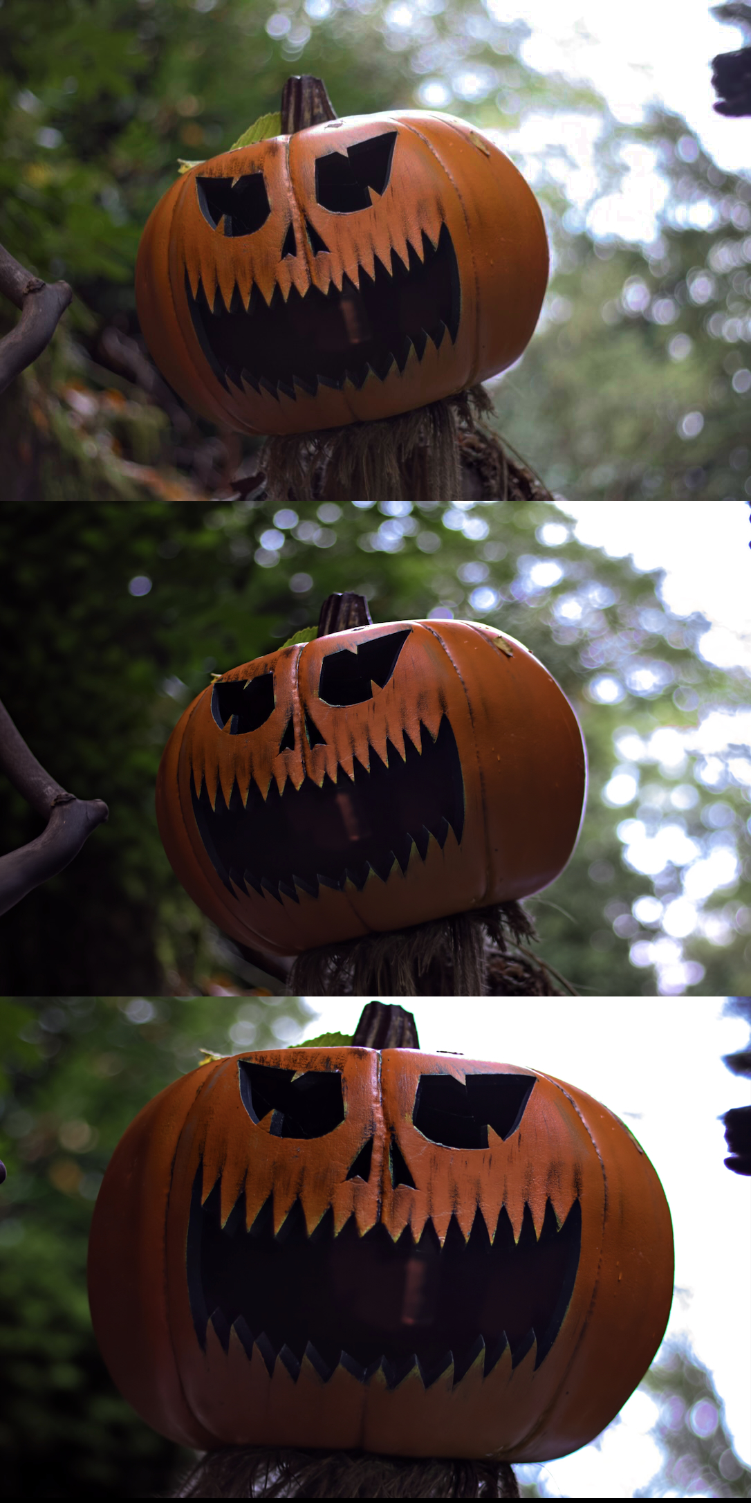 3 images of a pumpkin head, the top image is the original with two underneath adjusted using the Reframe feature in the Apple Photos app